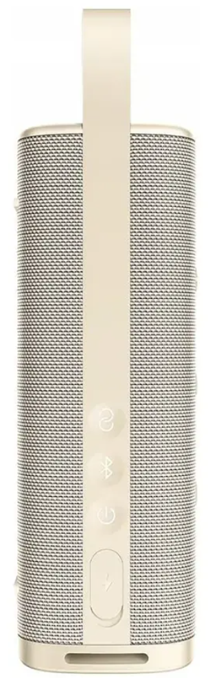 XIAOMI ALTAVOZ 30w DORADO